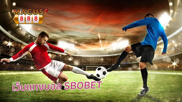 เว็บแทงบอล SBOBET
